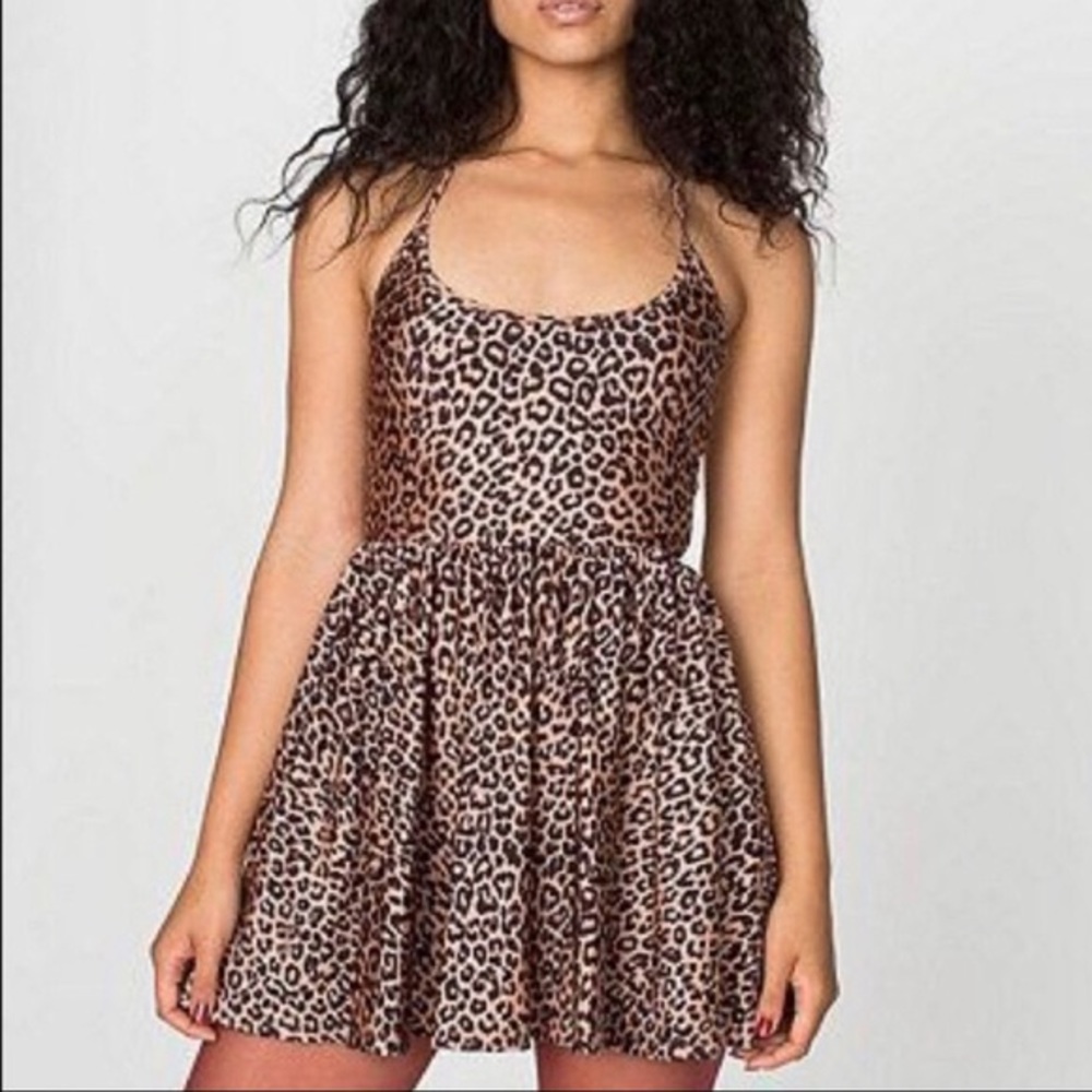 American Apparel Leopard Skater Dress